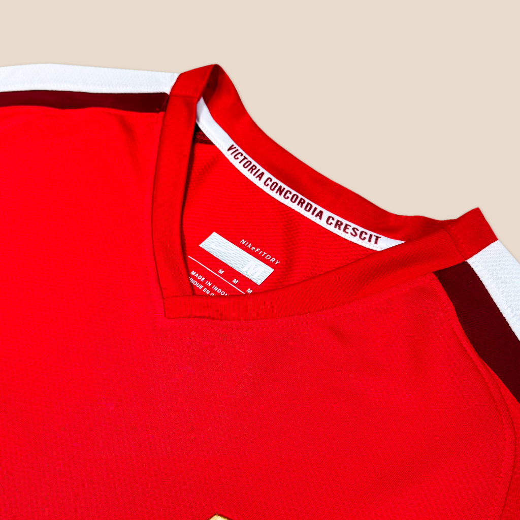 Arsenal 2008/09 Home