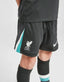 Liverpool 2024/25 Kids Away
